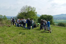 72 Stunden Aktion – auf dem Hasunger Berg (Foto: Karl-Franz Thiede)